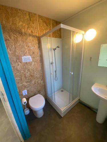 une salle de bain avec une douche, des toilettes et un lavabo dans l'établissement studio 3- les moulins, à Cherbourg en Cotentin