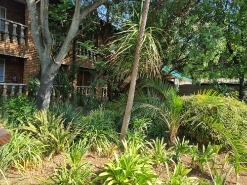 a garden with palm trees and plants in front of a building at Emerald Guesthouse in Kempton Park