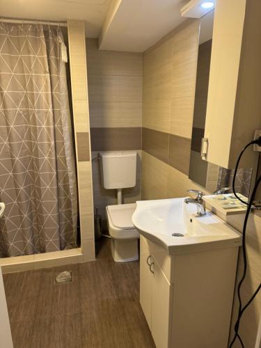 Novi GradにあるParadiso apartmaniのトイレ、洗面台、シャワー付きのバスルーム