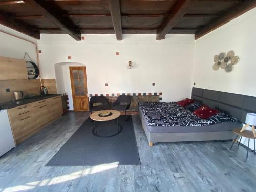 Kuchyňa alebo kuchynka v ubytovaní Vila Lucia - Apartmán 2