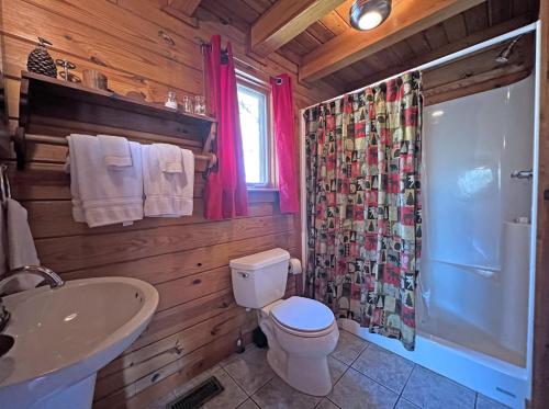 a bathroom with a toilet and a sink and a shower at High Haven in Bryson City