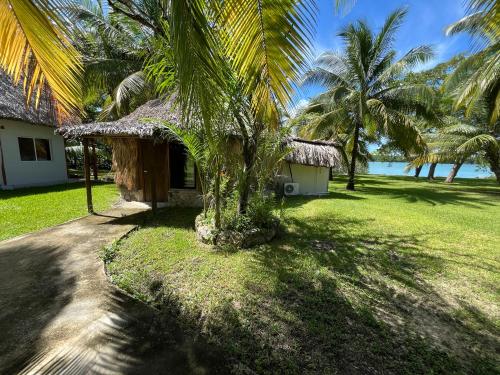 a house with a palm tree in front of the ocean at Xanthus Hotel in Huay Pix