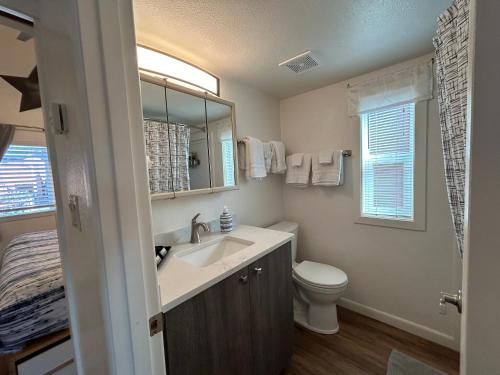 a bathroom with a sink and a toilet and a mirror at Oceanfront Cabin 10, Jacuzzi & Breathtaking Views in Smith River