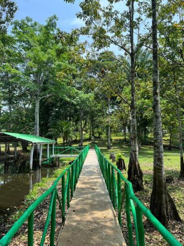 Φωτογραφία από το άλμπουμ του Cabañas Paraiso Escondido Gt σε Rio Dulce