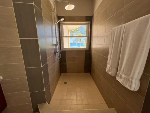 a bathroom with a shower and a window at Luxury oceanfront condo, enjoy it ! in Cabarete