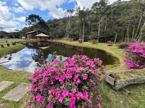 a garden with pink flowers and a pond at Vila Vert - Rancho Queimado - SC in Rancho Queimado