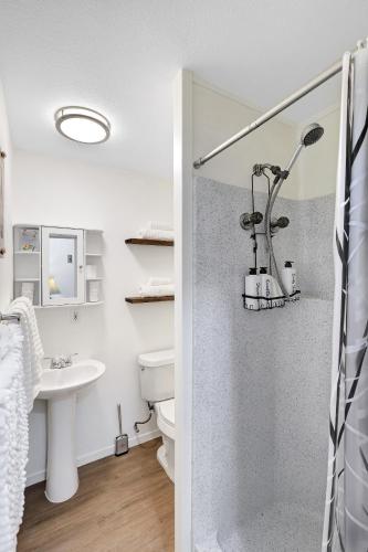 a bathroom with a shower and a toilet and a sink at Box 3- A Birdy Vacation Rental in Fair Oaks Ranch