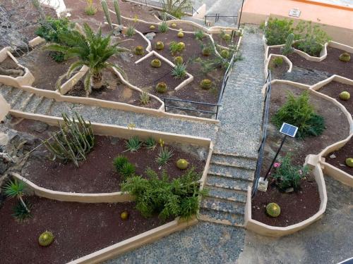 En have udenfor Apartamento Playa Cañon del águila