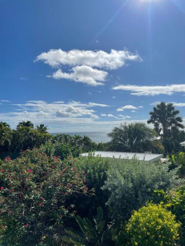 a view of the garden from the house at Iguane House Villas & Micro Spa in Sainte-Anne