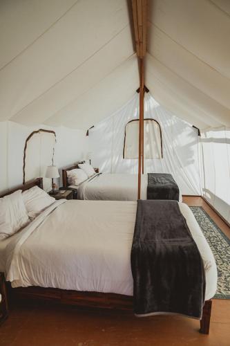 a bedroom with two beds in a tent at Wildhaven Sonoma Glamping in Healdsburg