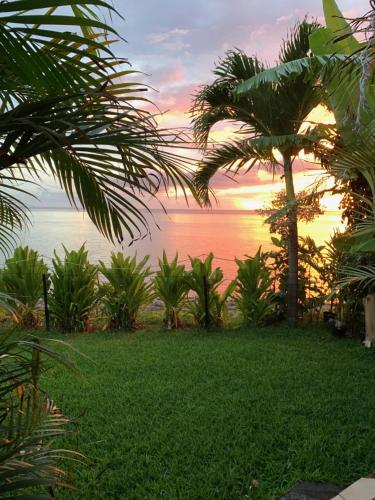 a view of the ocean from a resort with palm trees at TAHITI - VAIAVA Beach Cottage in Punaauia