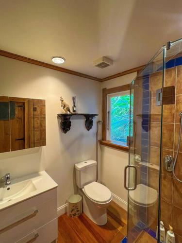 a bathroom with a toilet and a glass shower at Character Harbour Retreat in Dunedin