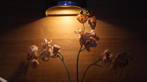 a lamp with a bunch of flowers on a table at Nikita Hotel in Bukittinggi