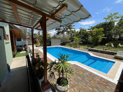 a swimming pool with plants next to a house at Casa de Emmita in Puyo