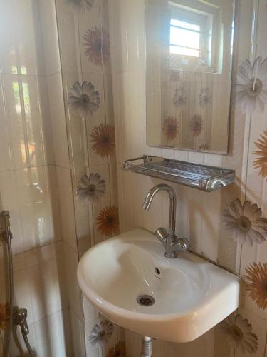a bathroom with a sink and a mirror at Tranquil Water Guest House in Pokhara