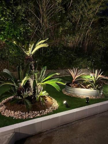 a display of plants in a garden at night at Kukuna外房 in Mobara