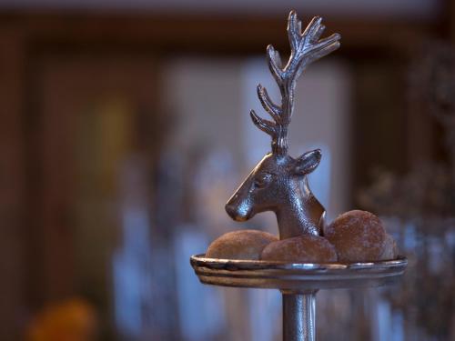Fotografie z fotogalerie ubytování Hotel Edelweiss v destinaci Davos