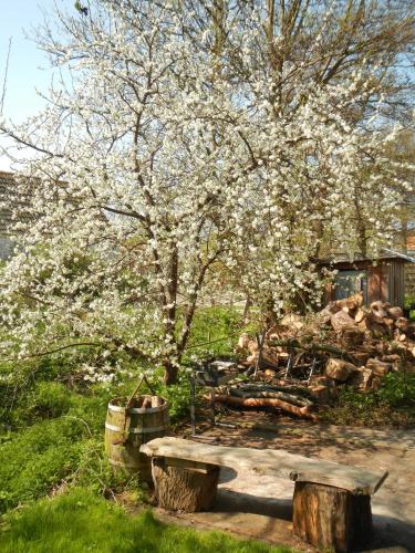 a tree with white flowers on it with two logs at Schreinerhaus in Vitte