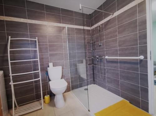 une salle de bain avec toilettes et douche dans l'établissement Bel appartement T2 meublé proche de Toulouse, à Mondonville