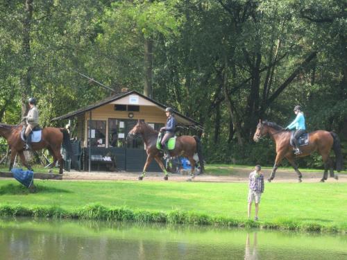 a group of people riding horses near a pond at Hotel De Watermolen in Bocholt