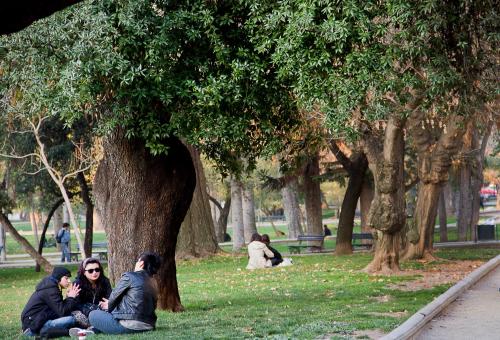 a group of people sitting on the grass under a tree at Hotel Luciano K in Santiago