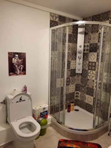 une salle de bain avec douche et toilettes dans l'établissement Studio spatial - Place de la République, au Mans
