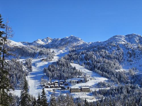 a ski lodge on a snowy mountain with trees at Appartements Spitzegel in Hermagor