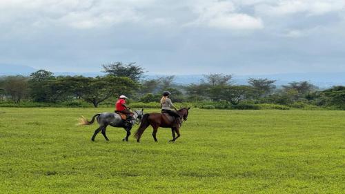 two people are riding horses in a field at Sero Safaris Hostel in Arusha