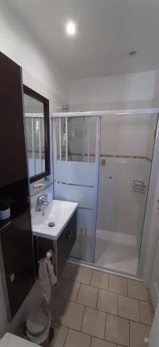 une salle de bain avec une douche, un lavabo et des toilettes dans l'établissement Gîte 2 pers en studio indépendant chez l'habitant pour nuitée au calme et proche de la plage, à Saint-Georges-de-Didonne