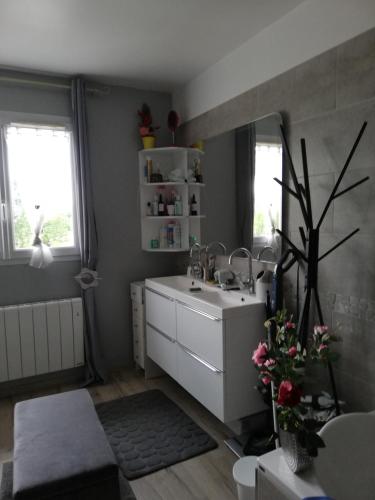 - une petite cuisine avec un évier et un miroir dans l'établissement Les Merles, à Marcollin