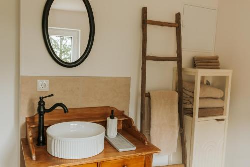 a bathroom with a sink and a mirror at Familienhof Waida in Dennheritz