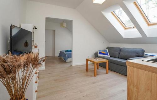 Una sala de estar con un sofá y un televisor. en Nice Apartment In Dziwnów With Wifi, en Dziwna