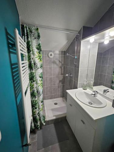 une salle de bain avec un lavabo et un rideau de douche dans l'établissement Thonon plage terrasse et parking, à Thonon-les-Bains