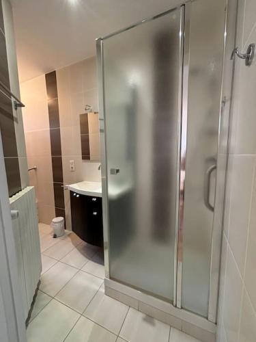 La salle de bains est pourvue d'une cabine de douche et d'un lavabo. dans l'établissement Appartement T2 idéalement situé, au Puy-en-Velay