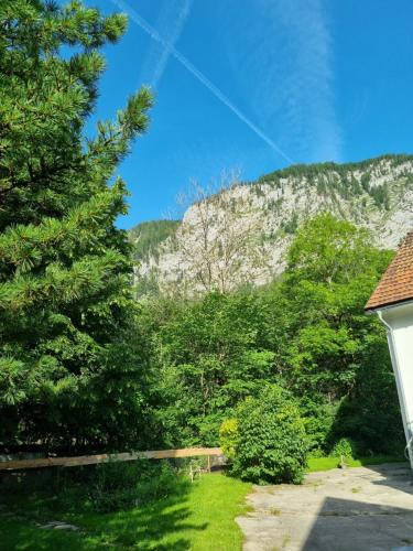 a house with a tree and a mountain in the background at Gorshof in Spital am Pyhrn