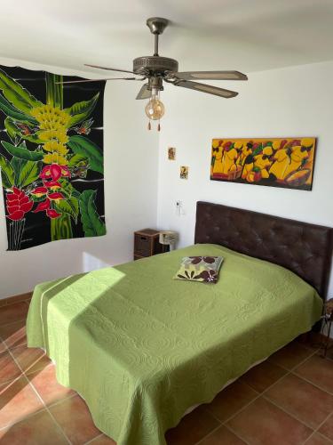 - une chambre avec un lit vert et un ventilateur de plafond dans l'établissement villa 4 etoiles 3 chambres vue mer ajaccio, à Pietrosella