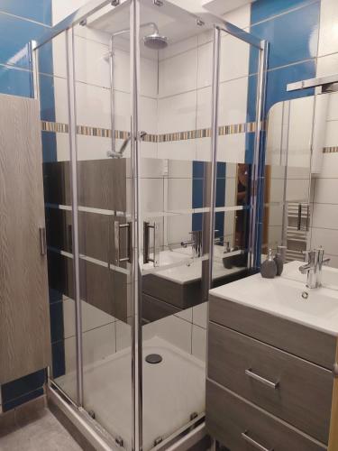 une salle de bain avec deux lavabos et une douche dans l'établissement appart centre ville bords de loire, à Saumur