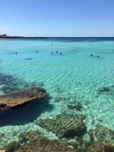 a group of people swimming in the ocean at La Casa del Moro in Favignana