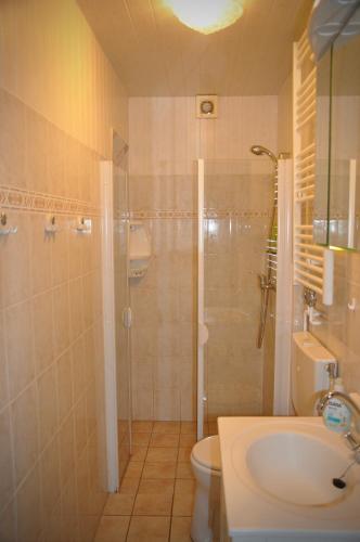 a bathroom with a shower and a toilet and a sink at Boerenslag 17 in Sint Maartenszee
