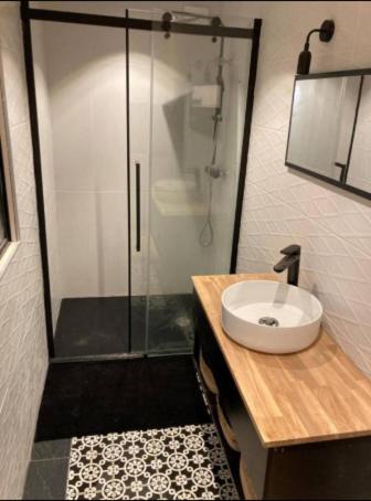 une salle de bain avec une douche avec des toilettes et un lavabo dans l'établissement T2 à 5' d'agen, clim, wifi, parking privé, à Foulayronnes