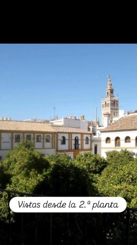 Apartamentos en la Plaza Doña Elvira, 7