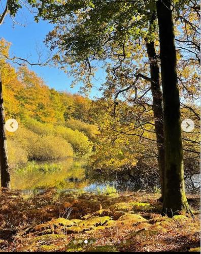 a painting of a forest with trees and a river at Gatekeepers house in Svennerup