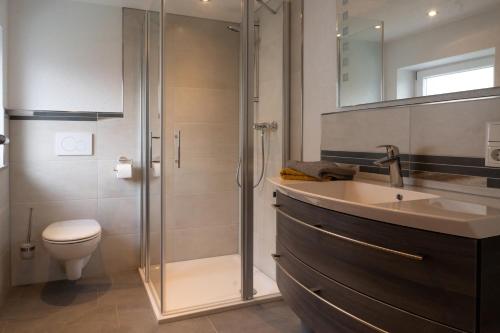 a bathroom with a shower and a toilet and a sink at Ferienwohnung Krämer bei Rothenburg ob der Tauber in Gebsattel