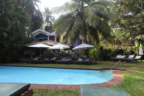 a resort with a swimming pool with chairs and umbrellas at Presa di Goa - Managed by Smith and Appy in Calangute