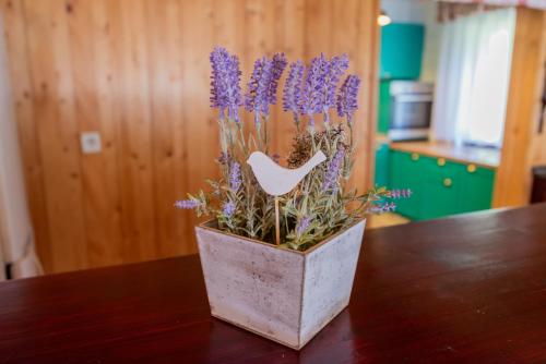 a vase filled with purple flowers on a table at Natura BH in Izvoare