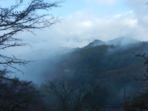 a misty mountain valley with trees in the foreground at Hounkan in Yoshino