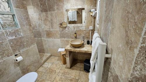 a bathroom with a shower with a sink and a toilet at La madone in La Tour-dʼAigues