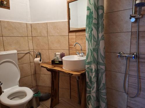 un baño con lavabo e inodoro en Pensiunea Ursu, en Borşa
