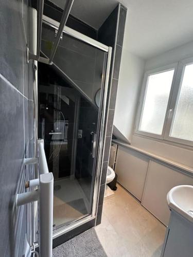 La salle de bains est pourvue d'une douche en verre et de toilettes. dans l'établissement Studio au proche du louvre, à Paris