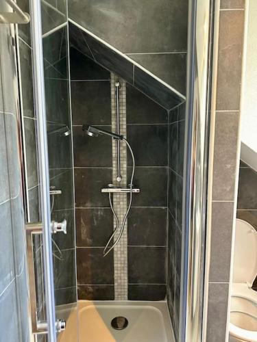 une salle de bain avec douche et toilettes dans l'établissement Studio au proche du louvre, à Paris